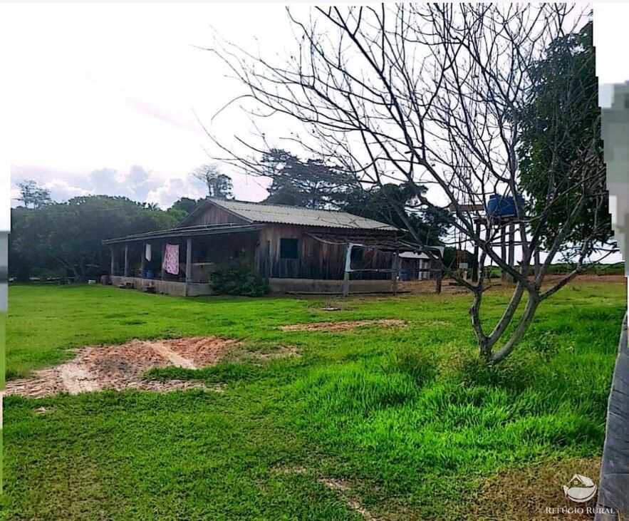 Fazenda à venda com 4 quartos, 100000000m² - Foto 15