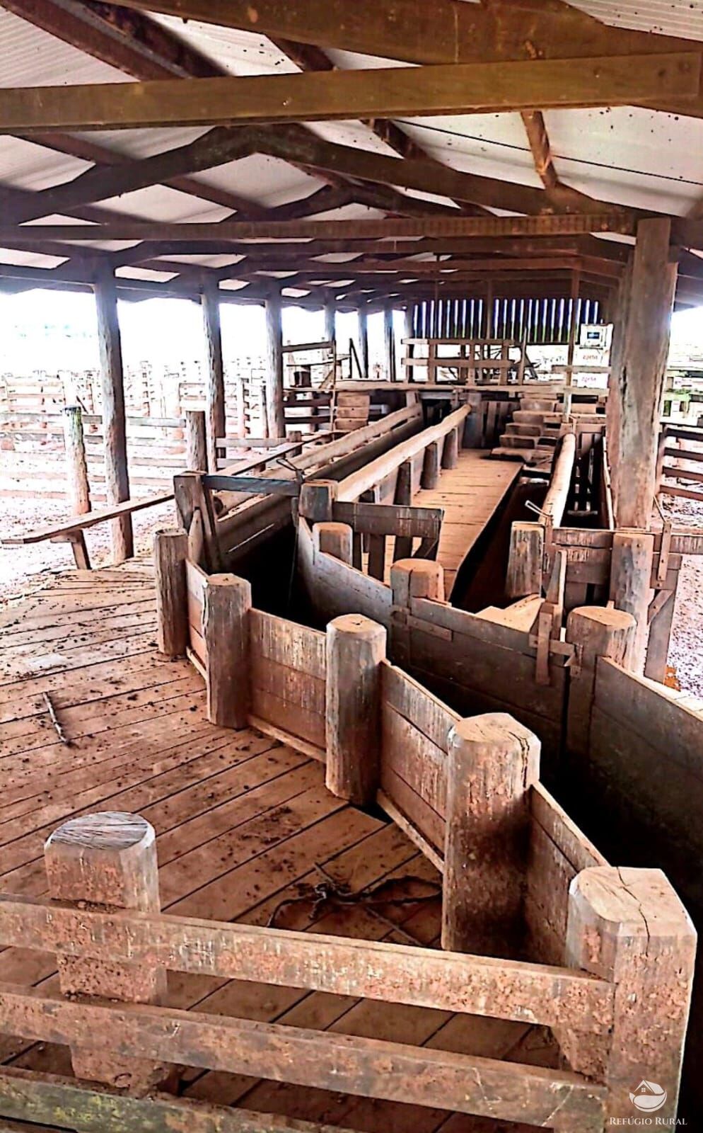 Fazenda à venda com 4 quartos, 100000000m² - Foto 22