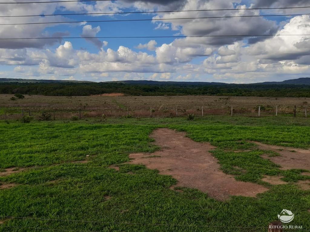 Fazenda à venda com 3 quartos, 64000000m² - Foto 3