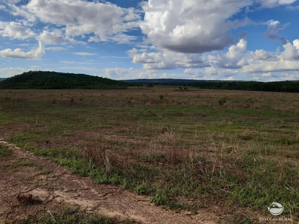 Fazenda à venda com 3 quartos, 64000000m² - Foto 5