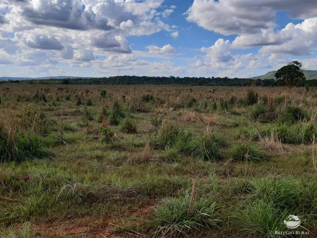 Fazenda à venda com 3 quartos, 64000000m² - Foto 12