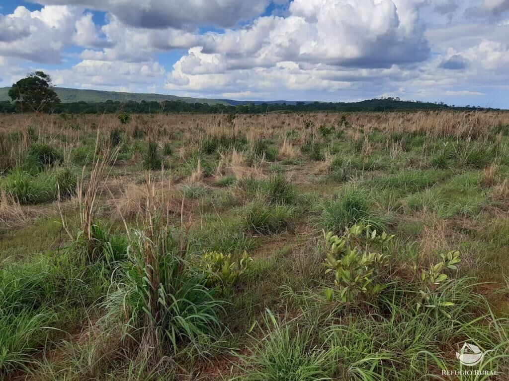 Fazenda à venda com 3 quartos, 64000000m² - Foto 14