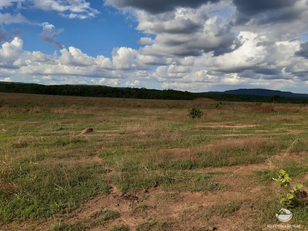 Fazenda à venda com 3 quartos, 64000000m² - Foto 13