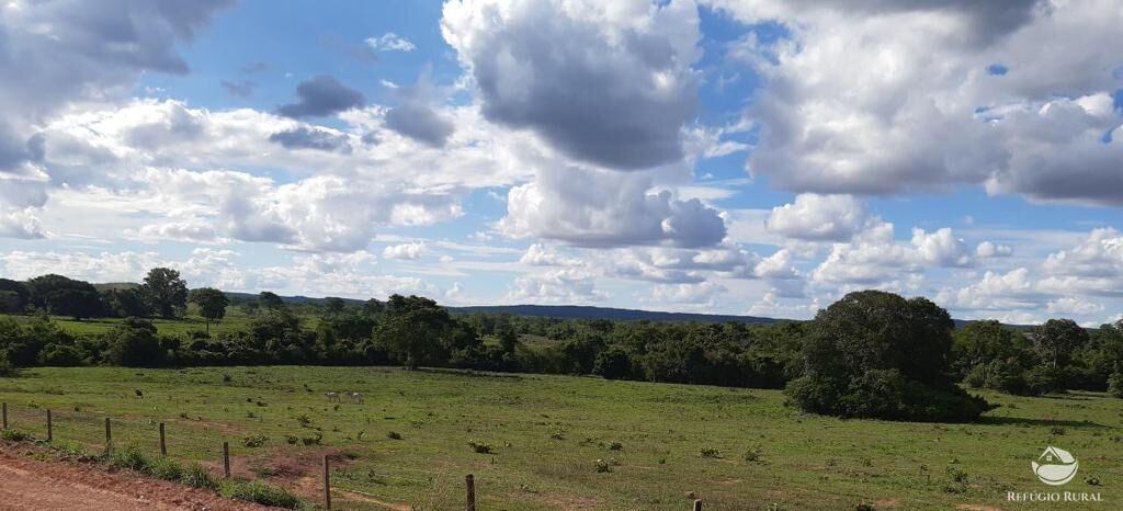 Fazenda à venda com 3 quartos, 64000000m² - Foto 15