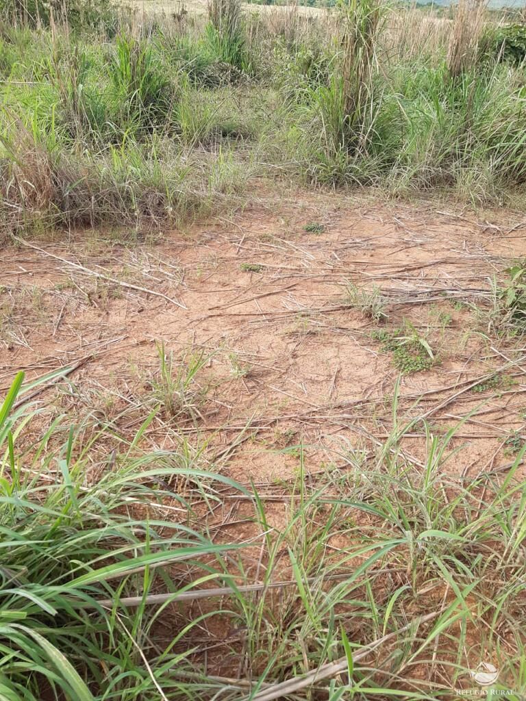 Fazenda à venda com 3 quartos, 64000000m² - Foto 7