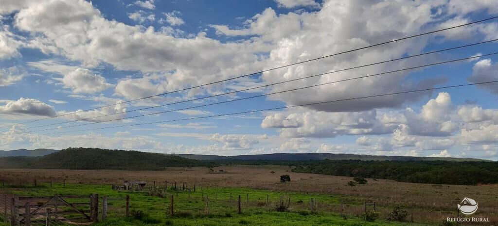 Fazenda à venda com 3 quartos, 64000000m² - Foto 8