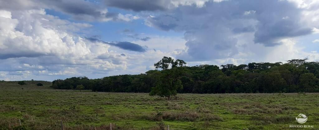 Fazenda à venda com 3 quartos, 64000000m² - Foto 2