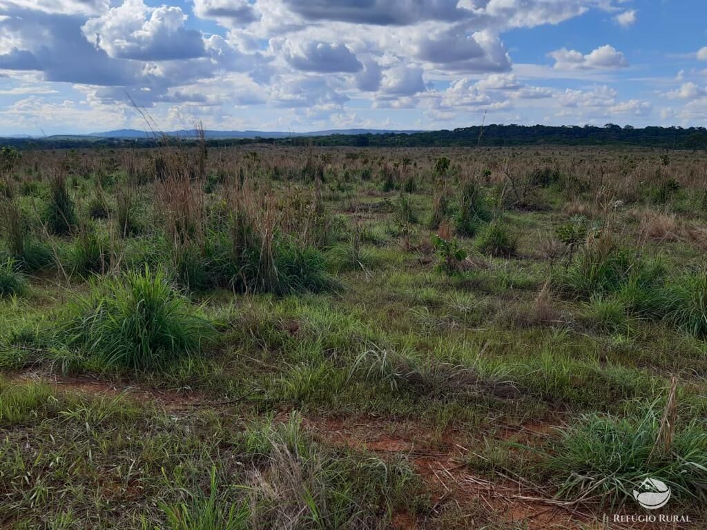 Fazenda à venda com 3 quartos, 64000000m² - Foto 6