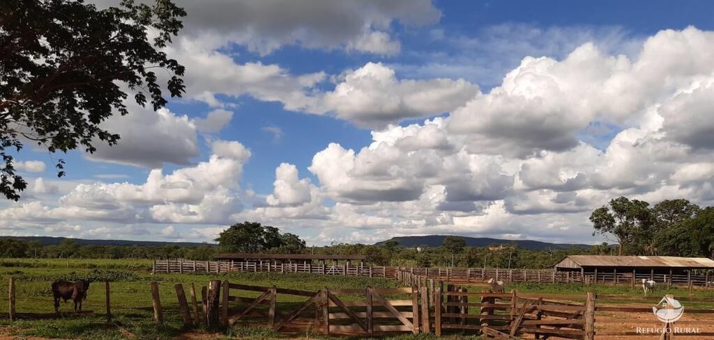 Fazenda à venda com 3 quartos, 64000000m² - Foto 1