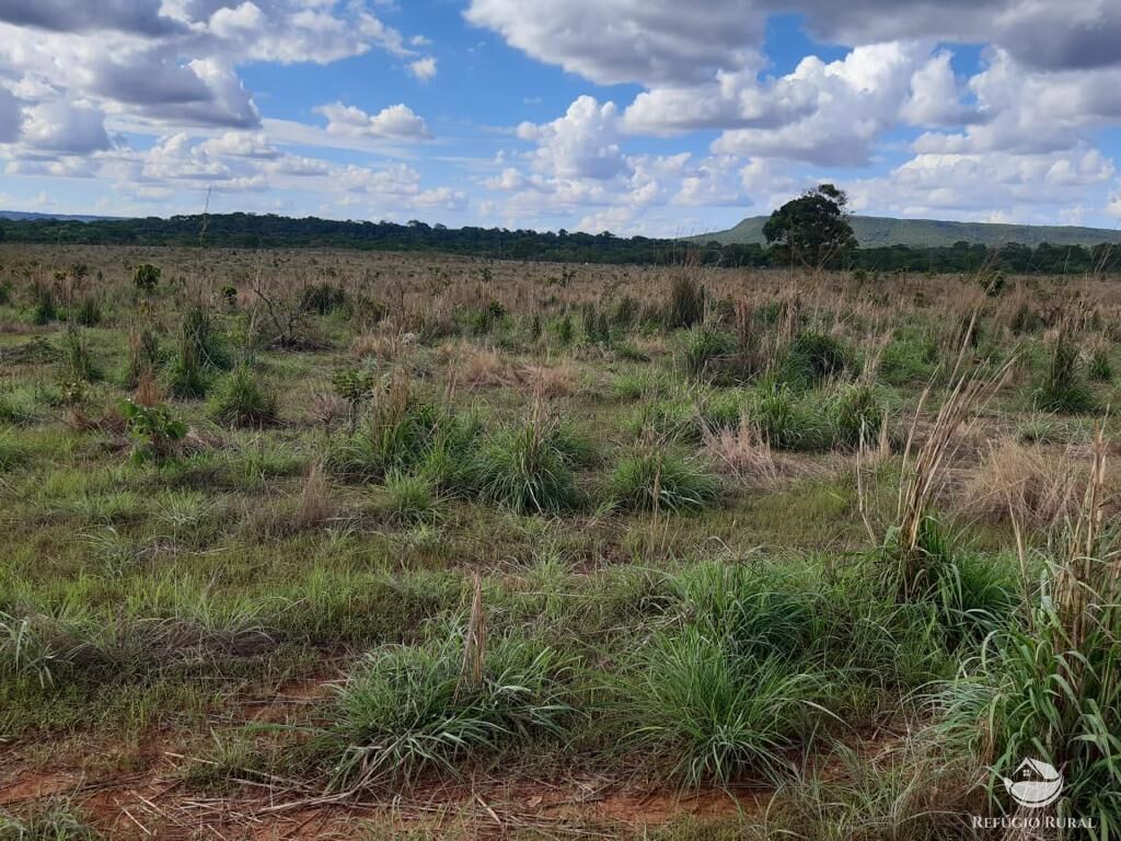 Fazenda à venda com 3 quartos, 64000000m² - Foto 9