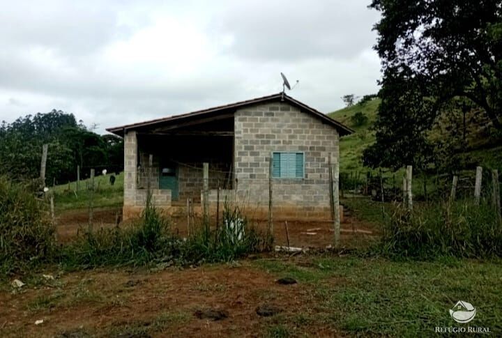 Fazenda à venda com 2 quartos, 65000m² - Foto 3