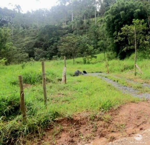 Fazenda à venda com 2 quartos, 65000m² - Foto 11