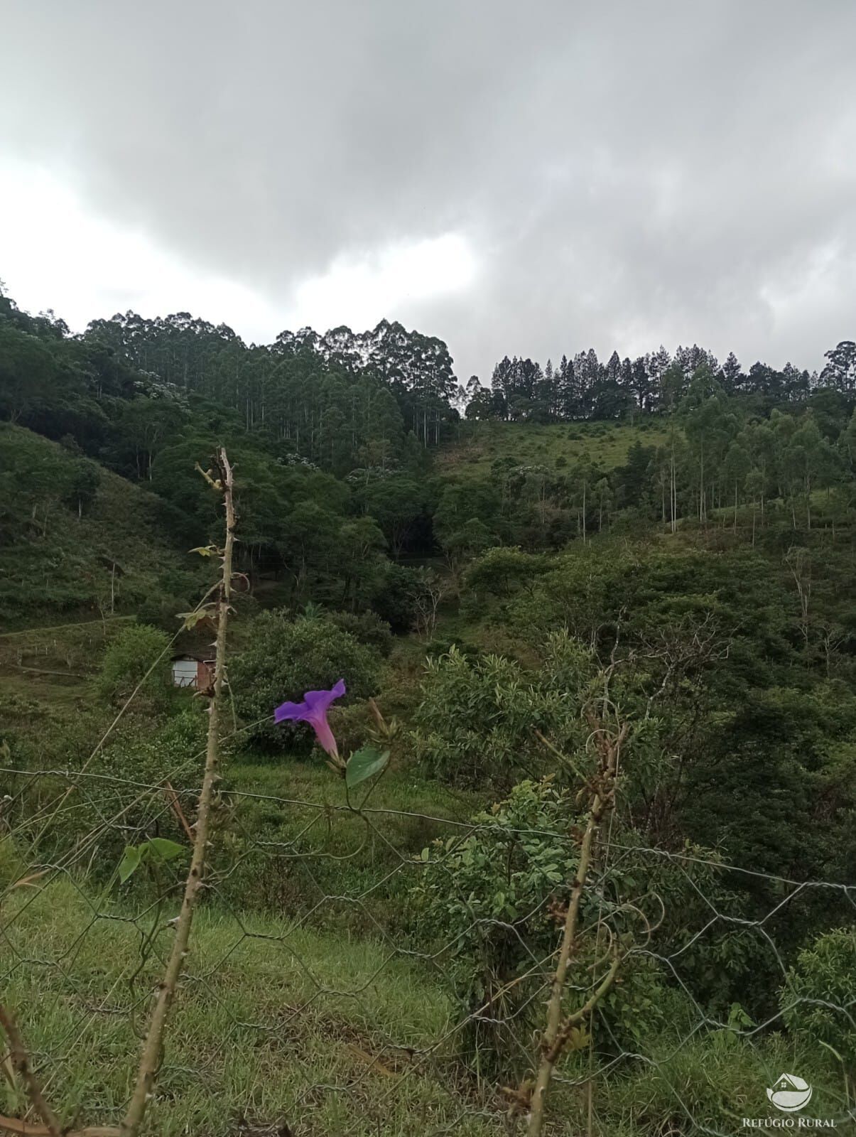 Fazenda à venda com 2 quartos, 65000m² - Foto 10