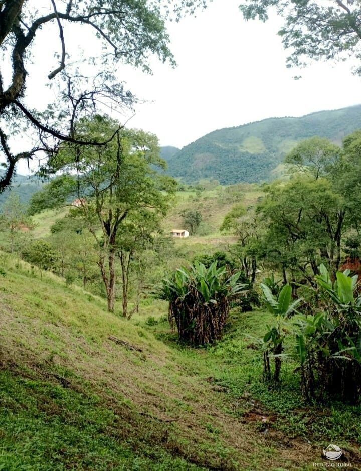 Fazenda à venda com 2 quartos, 65000m² - Foto 2