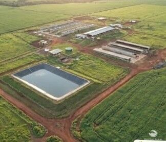 Fazenda, 1817 hectares - Foto 3