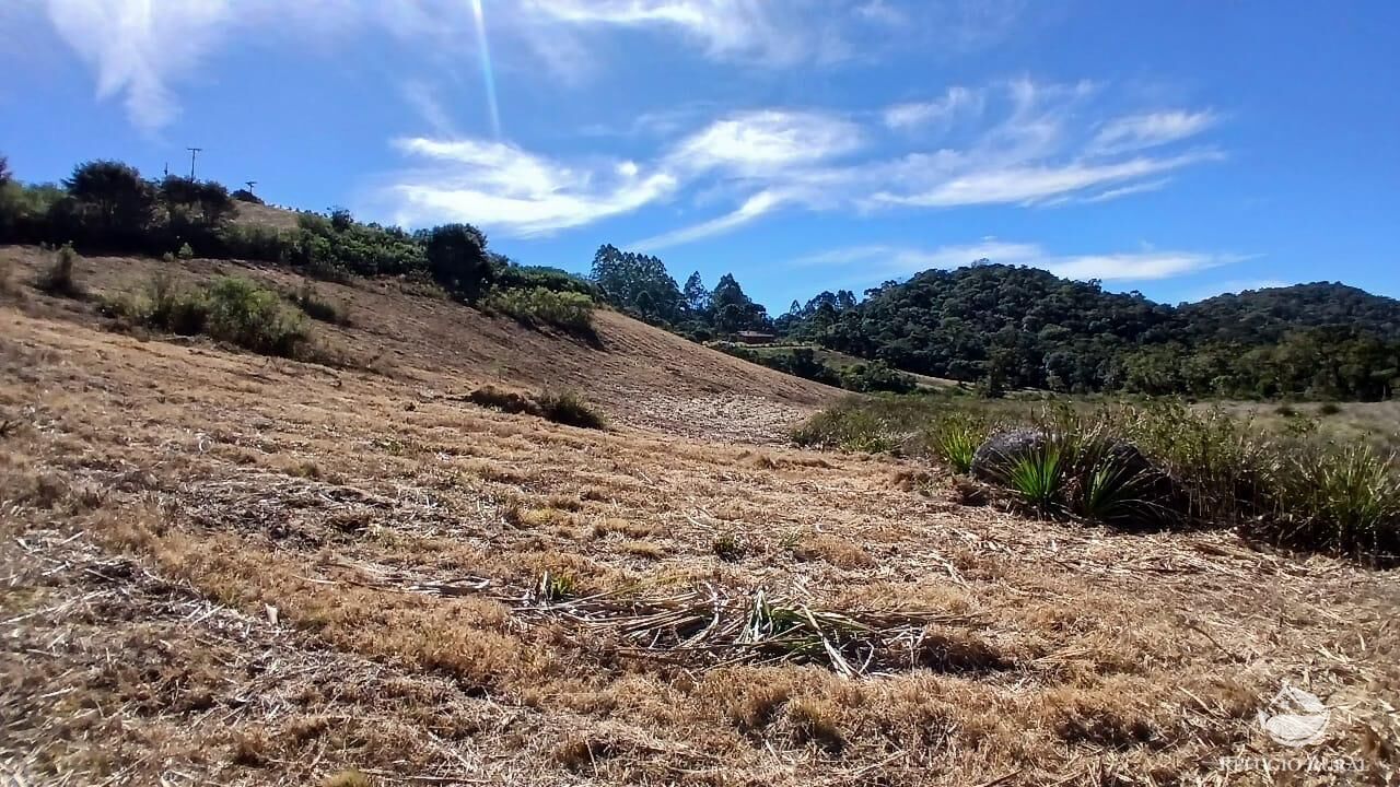 Chácara à venda com 1 quarto, 20000m² - Foto 1