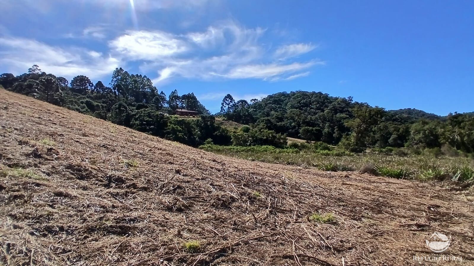 Chácara à venda com 1 quarto, 20000m² - Foto 8