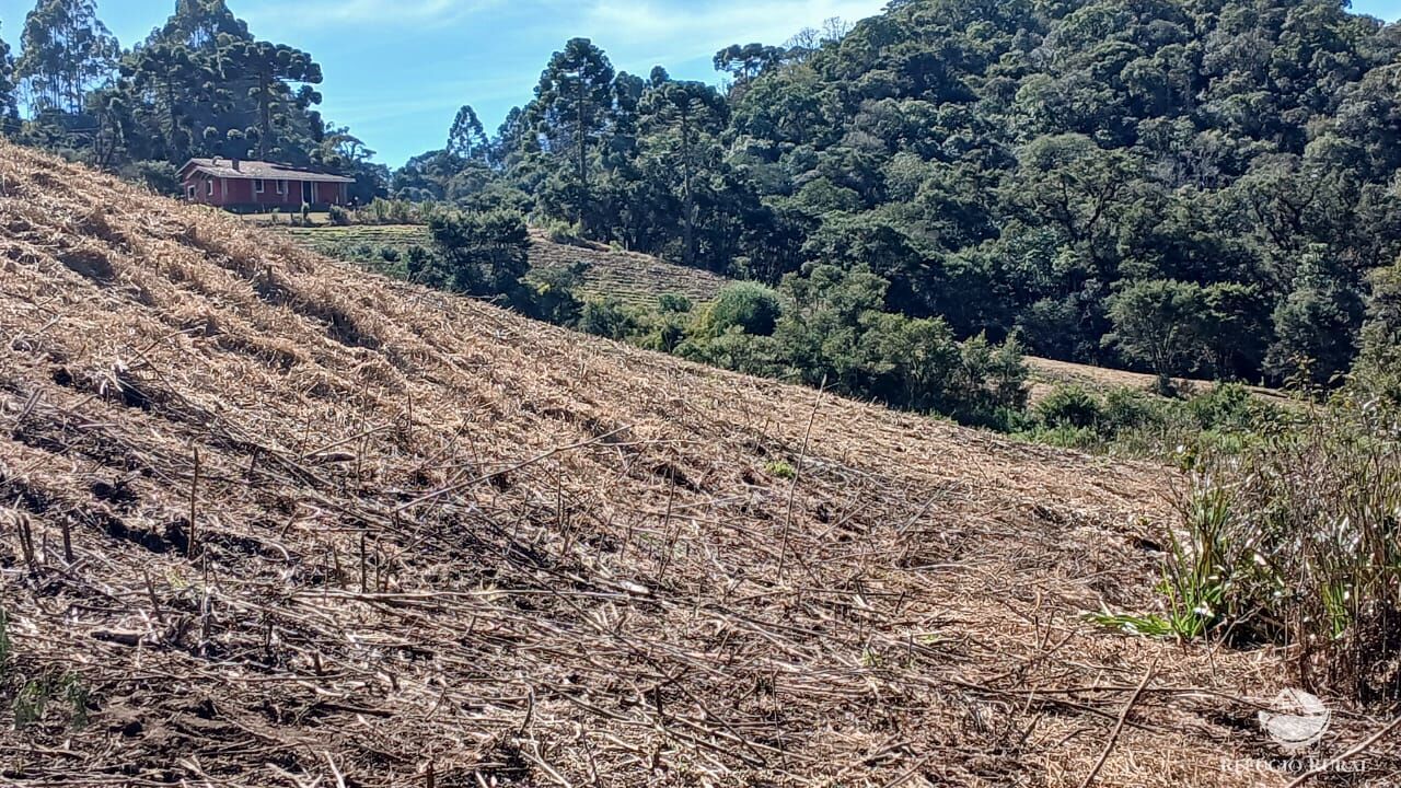 Chácara à venda com 1 quarto, 20000m² - Foto 3