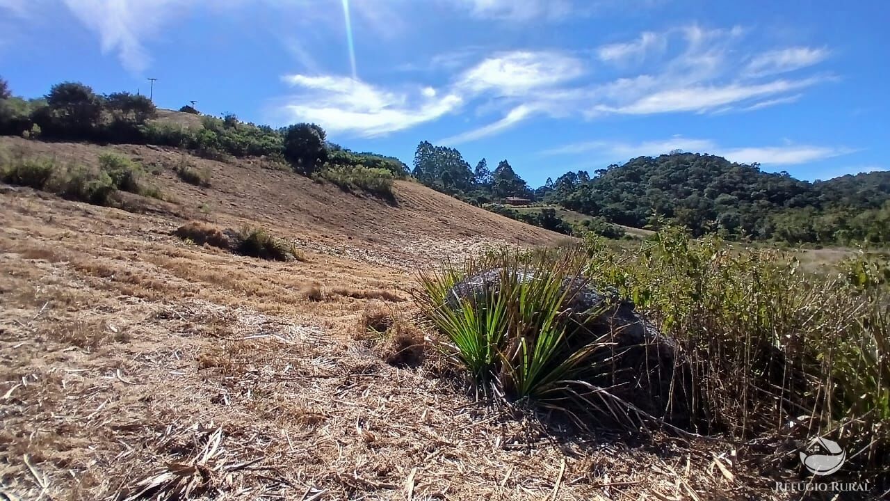 Chácara à venda com 1 quarto, 20000m² - Foto 7