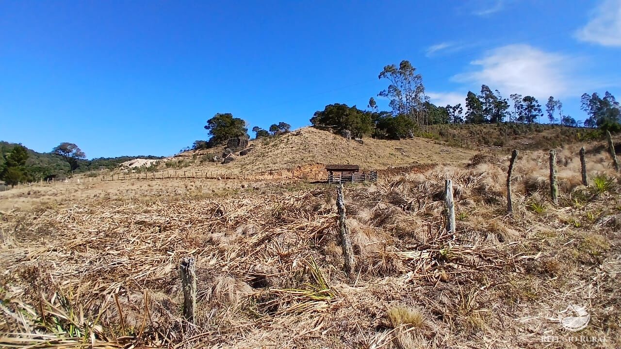 Chácara à venda com 1 quarto, 20000m² - Foto 2