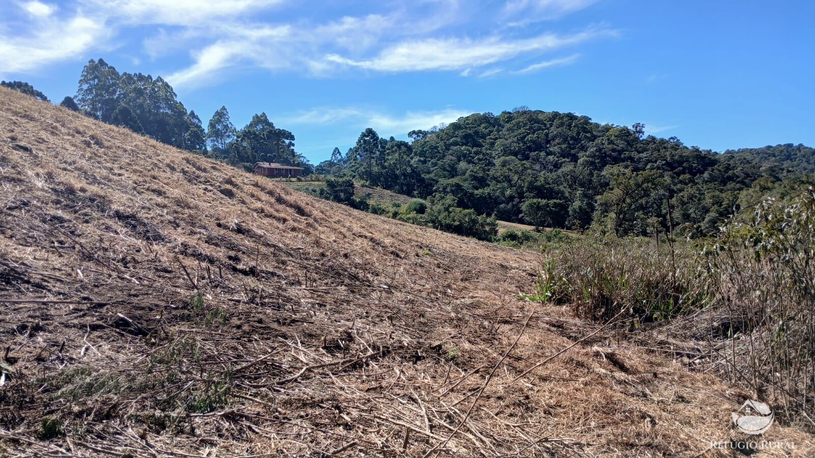 Chácara à venda com 1 quarto, 20000m² - Foto 6
