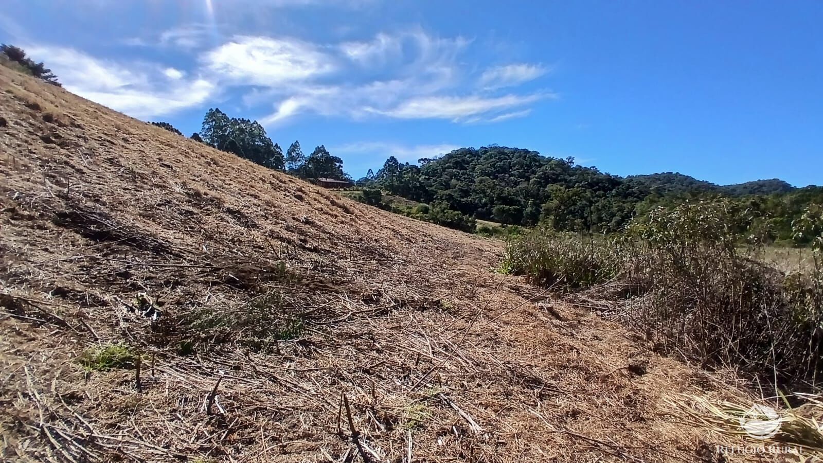 Chácara à venda com 1 quarto, 20000m² - Foto 12