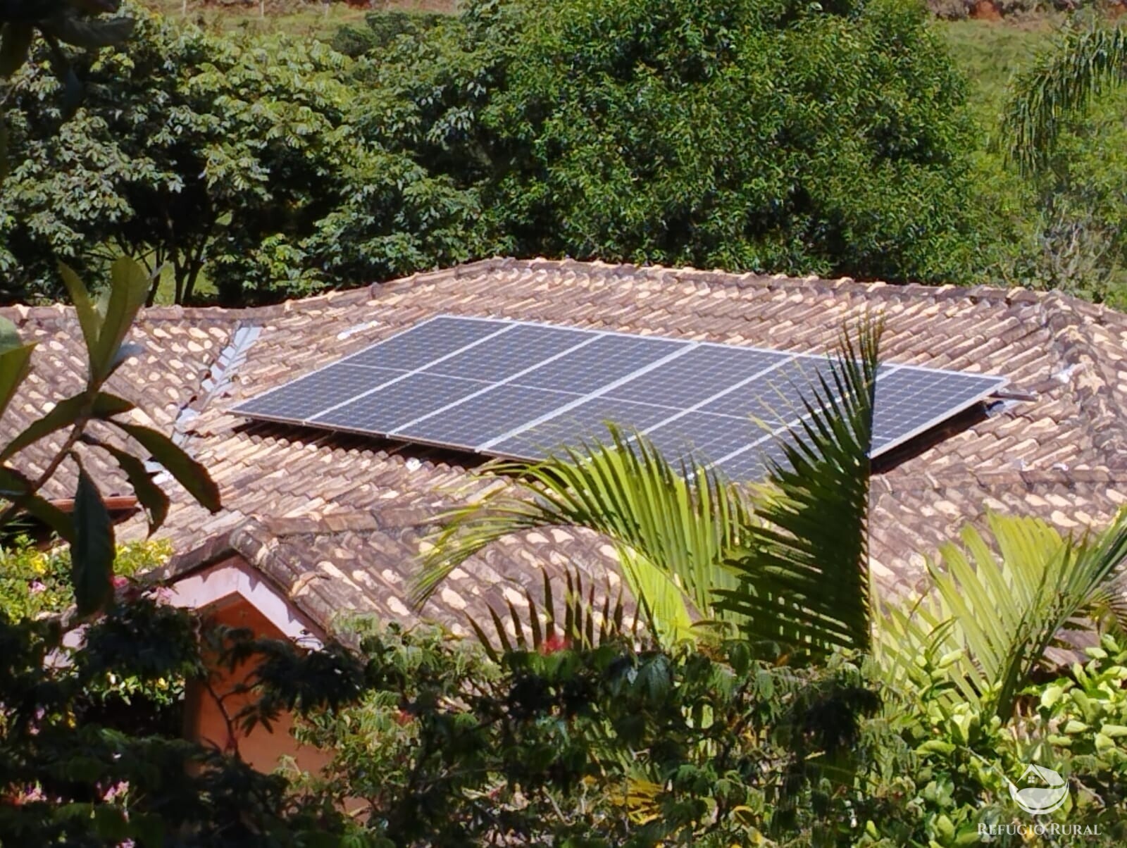 Fazenda à venda com 3 quartos, 11000m² - Foto 12