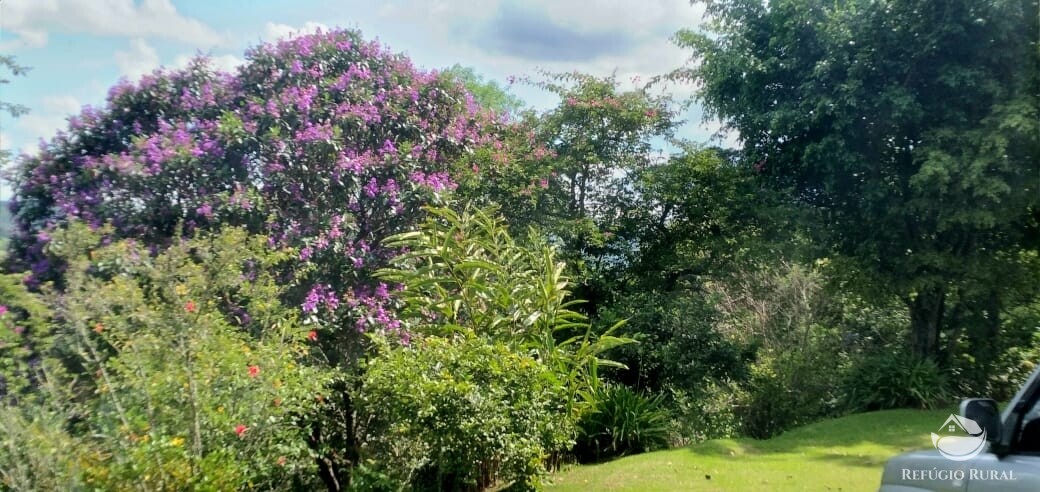 Fazenda à venda com 3 quartos, 11000m² - Foto 45