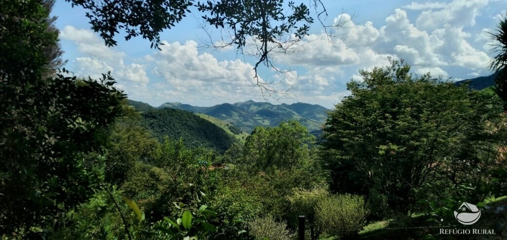 Fazenda à venda com 3 quartos, 11000m² - Foto 33