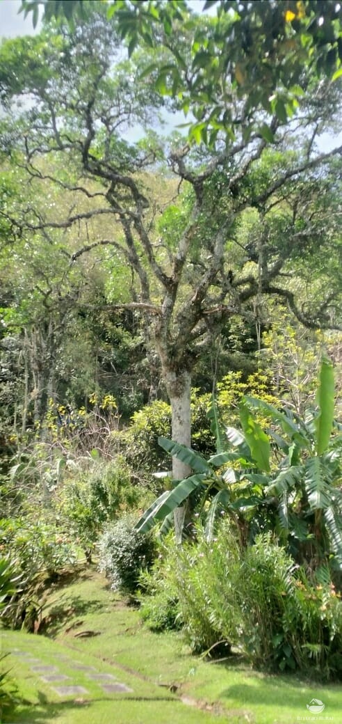 Fazenda à venda com 3 quartos, 11000m² - Foto 18