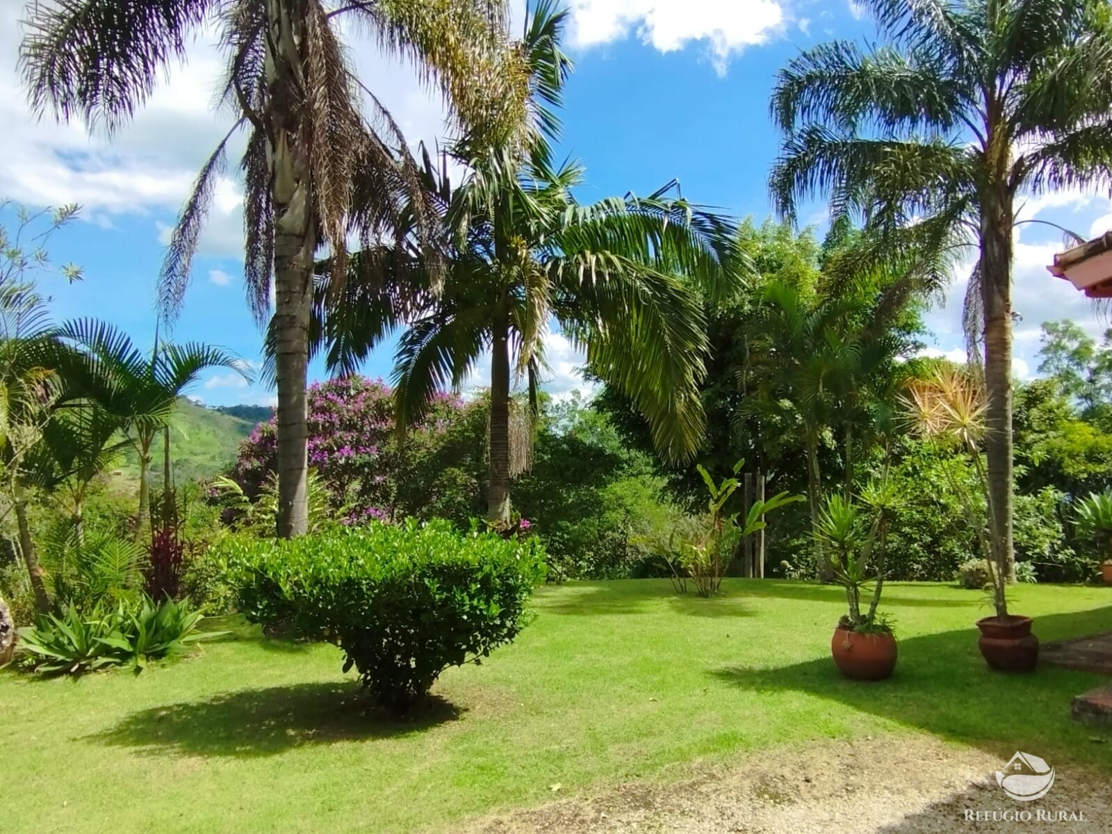 Fazenda à venda com 3 quartos, 11000m² - Foto 4