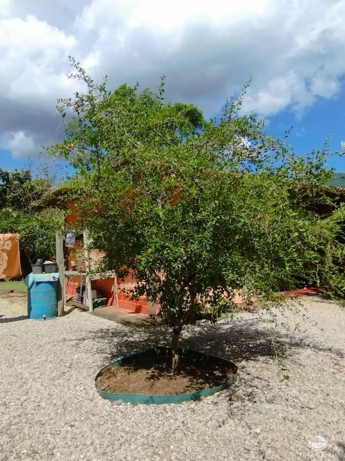 Fazenda à venda com 3 quartos, 11000m² - Foto 13