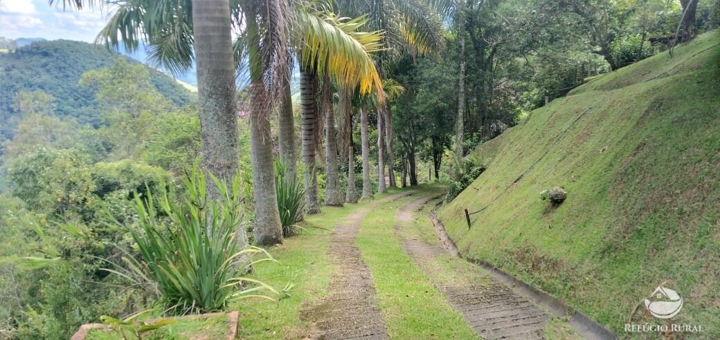 Fazenda à venda com 3 quartos, 11000m² - Foto 28