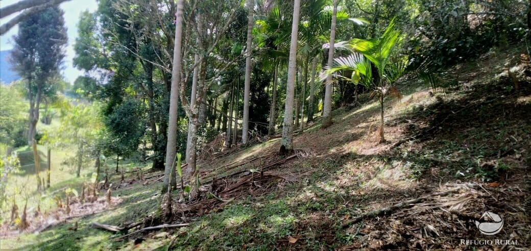 Fazenda à venda com 3 quartos, 11000m² - Foto 31