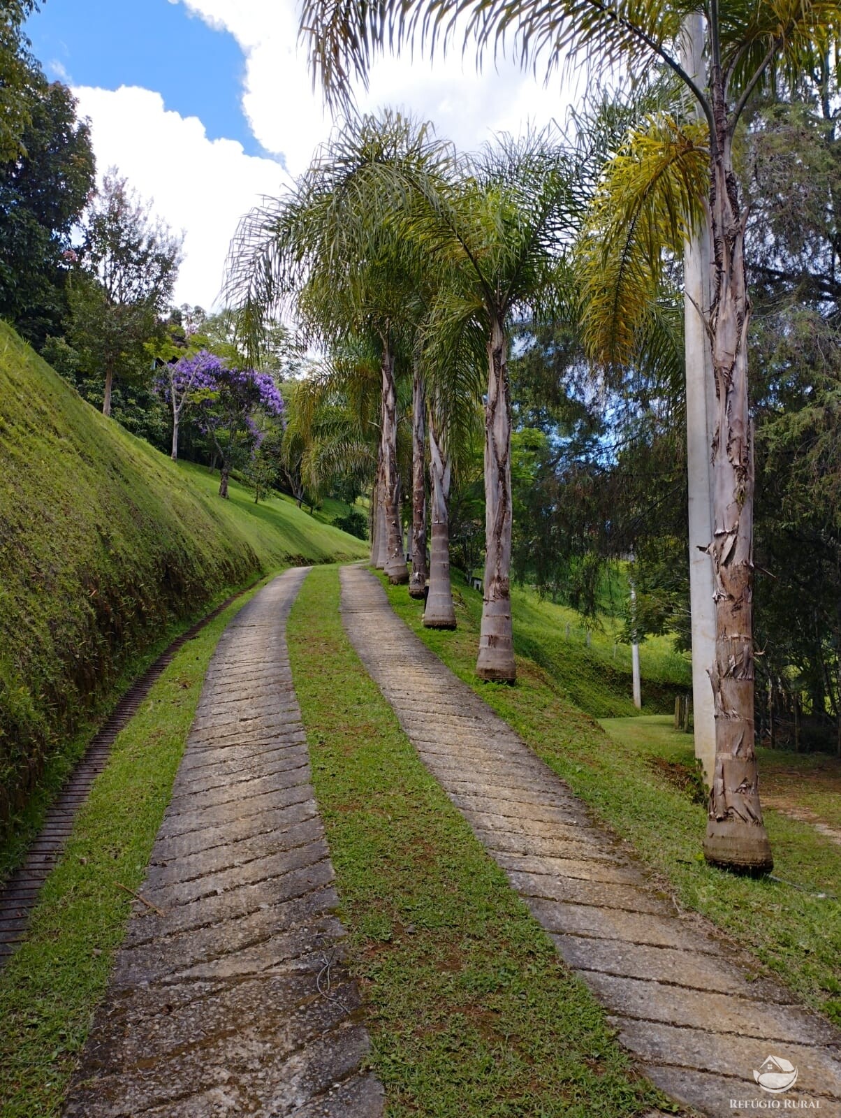 Fazenda à venda com 3 quartos, 11000m² - Foto 6