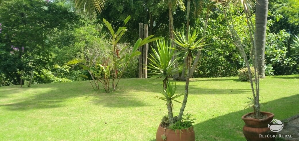 Fazenda à venda com 3 quartos, 11000m² - Foto 36