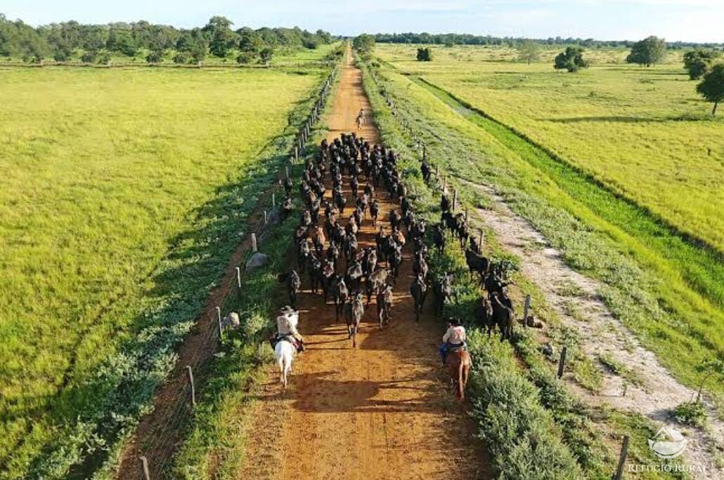 Fazenda à venda com 12 quartos, 2349000000m² - Foto 11