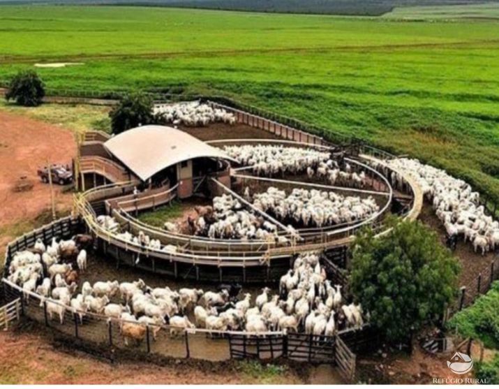 Fazenda à venda com 12 quartos, 2349000000m² - Foto 2
