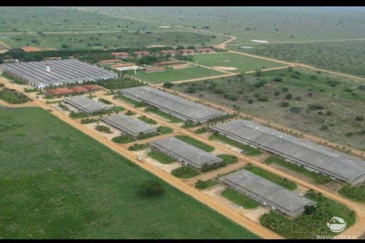 Fazenda à venda com 12 quartos, 2349000000m² - Foto 10