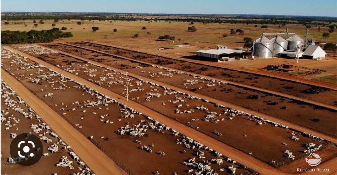 Fazenda à venda com 12 quartos, 2349000000m² - Foto 8