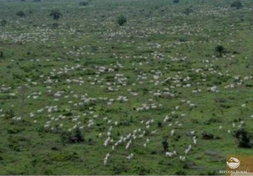 Fazenda à venda com 12 quartos, 2349000000m² - Foto 9