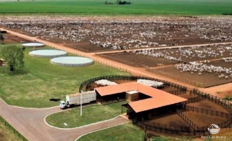 Fazenda à venda com 12 quartos, 2349000000m² - Foto 12