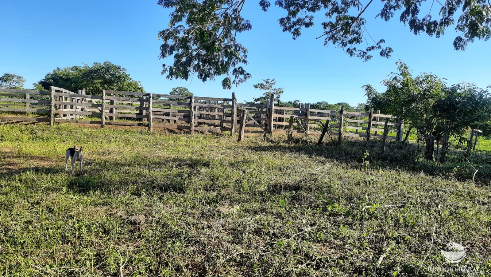 Fazenda à venda com 4 quartos, 4114000m² - Foto 10