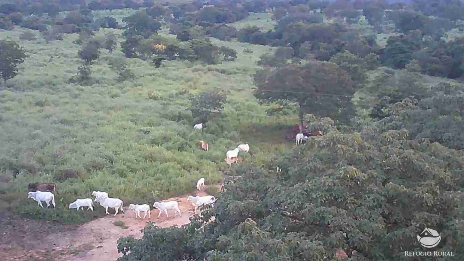 Fazenda à venda com 4 quartos, 4114000m² - Foto 8