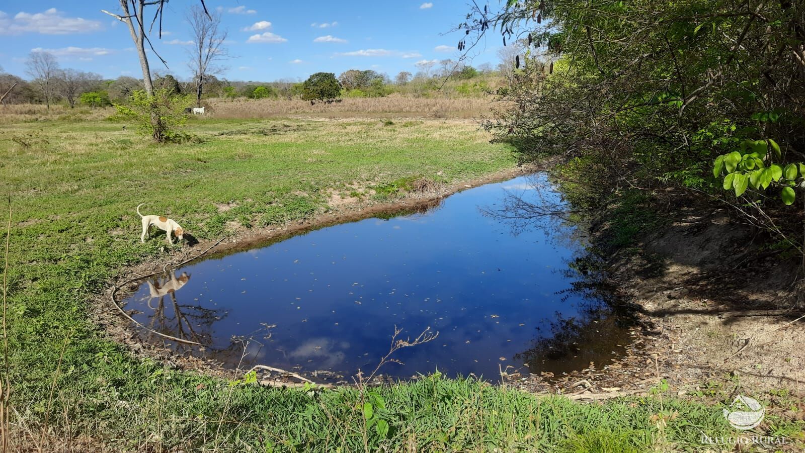 Fazenda à venda com 4 quartos, 4114000m² - Foto 25