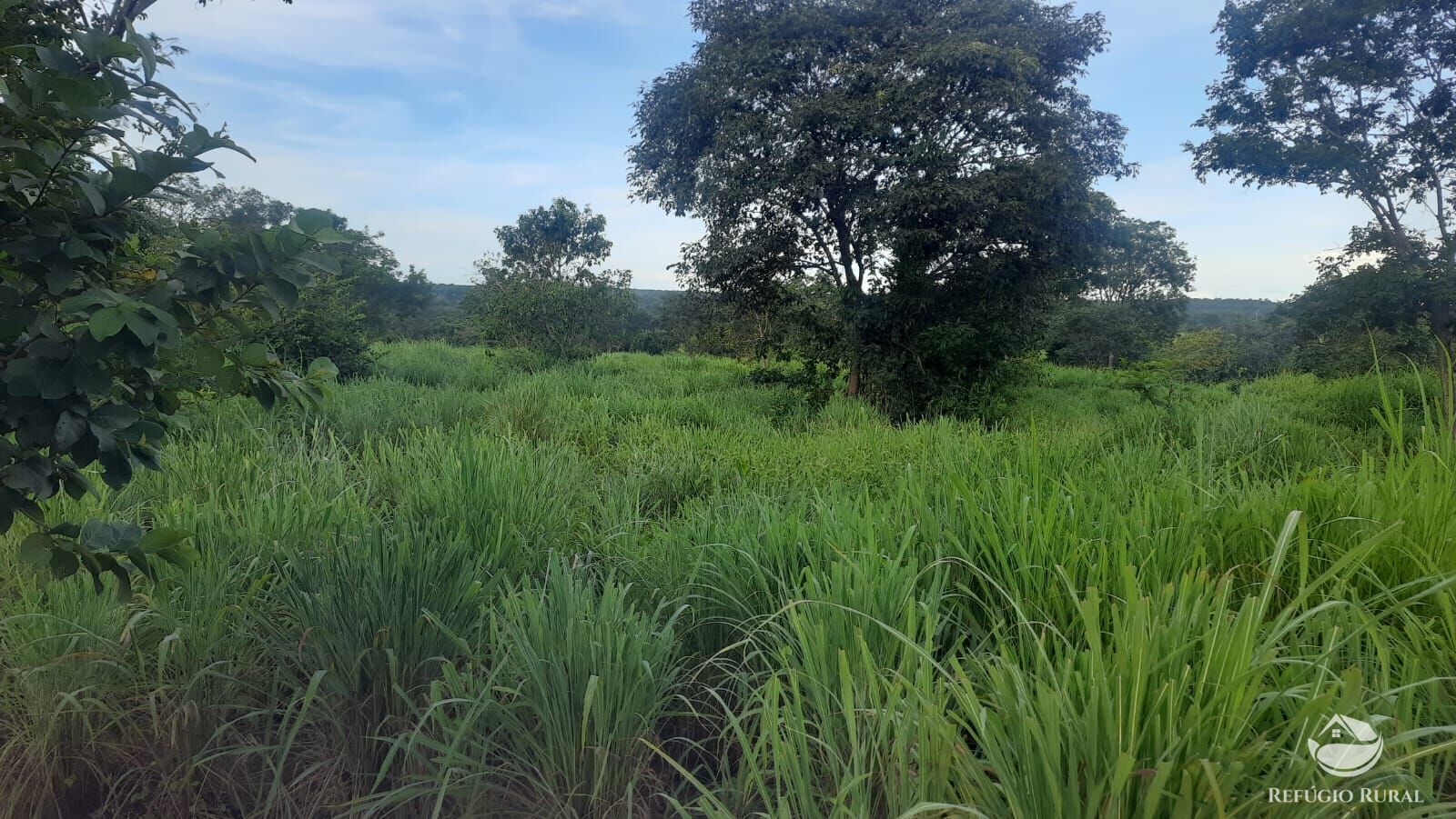 Fazenda à venda com 4 quartos, 4114000m² - Foto 15