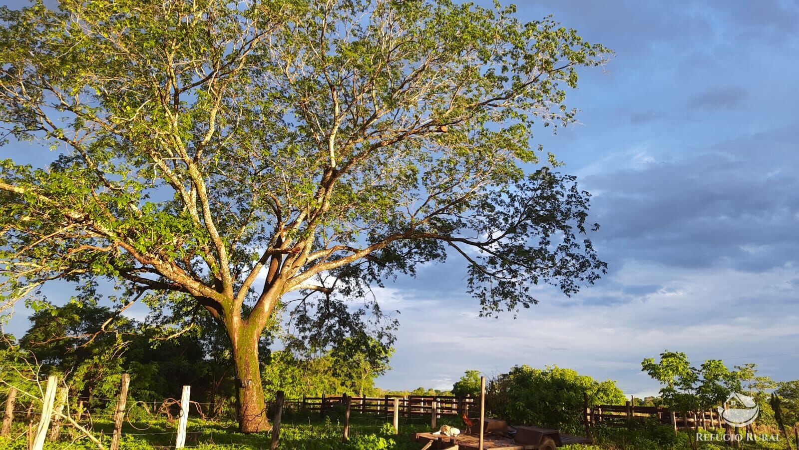 Fazenda à venda com 4 quartos, 4114000m² - Foto 11