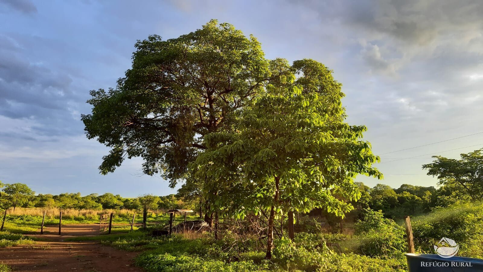 Fazenda à venda com 4 quartos, 4114000m² - Foto 18