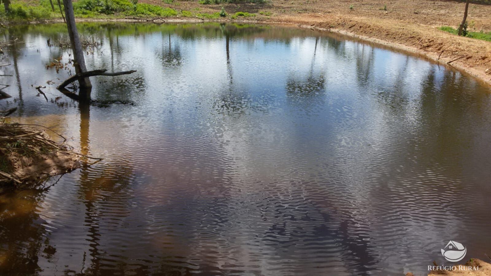 Fazenda à venda com 4 quartos, 4114000m² - Foto 5