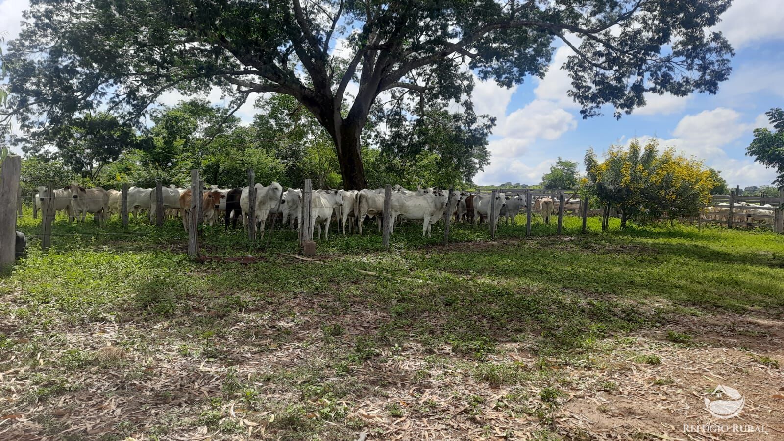 Fazenda à venda com 4 quartos, 4114000m² - Foto 9